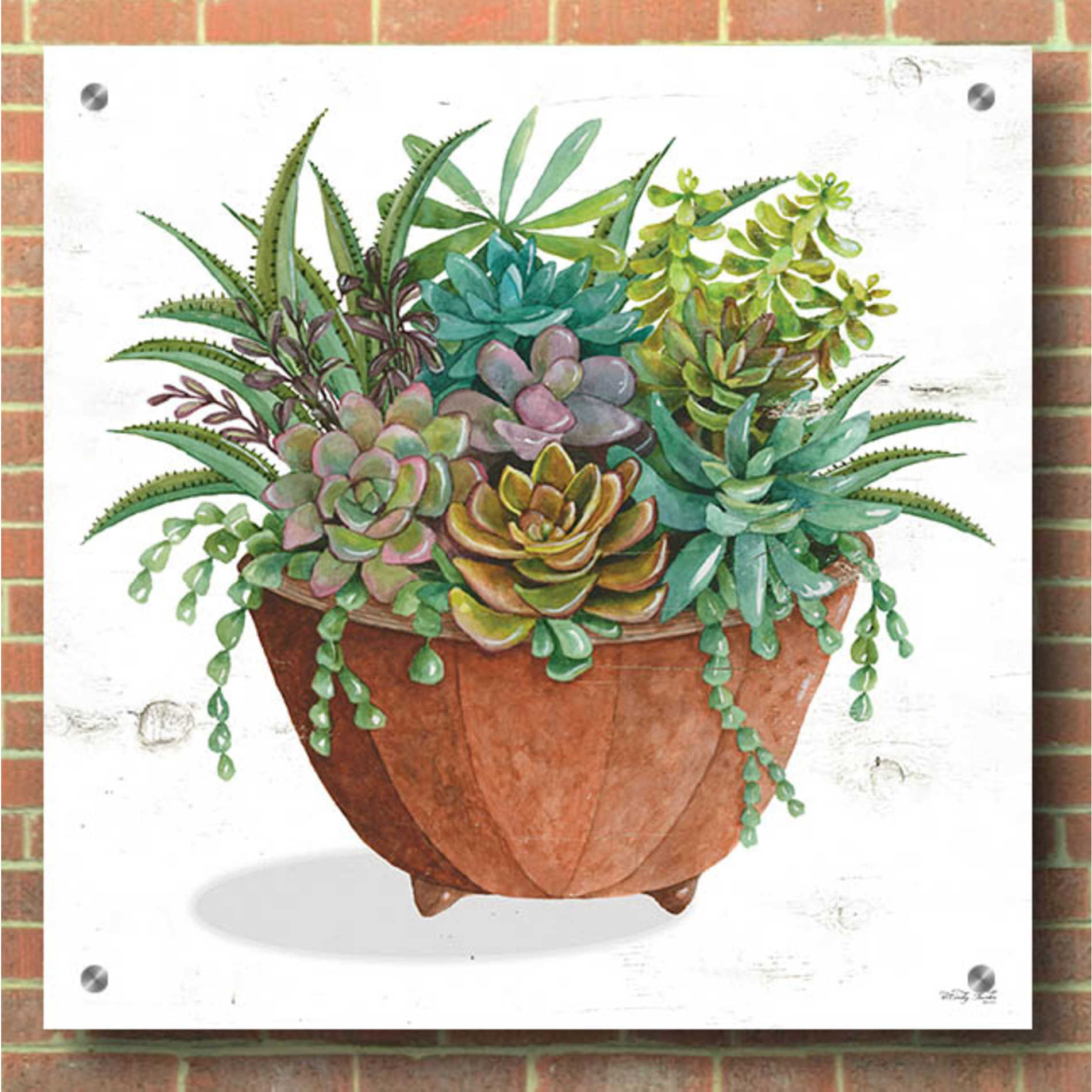 Epic Art 'Terracotta Succulents I' by Cindy Jacobs, Acrylic Glass Wall Art,36x36