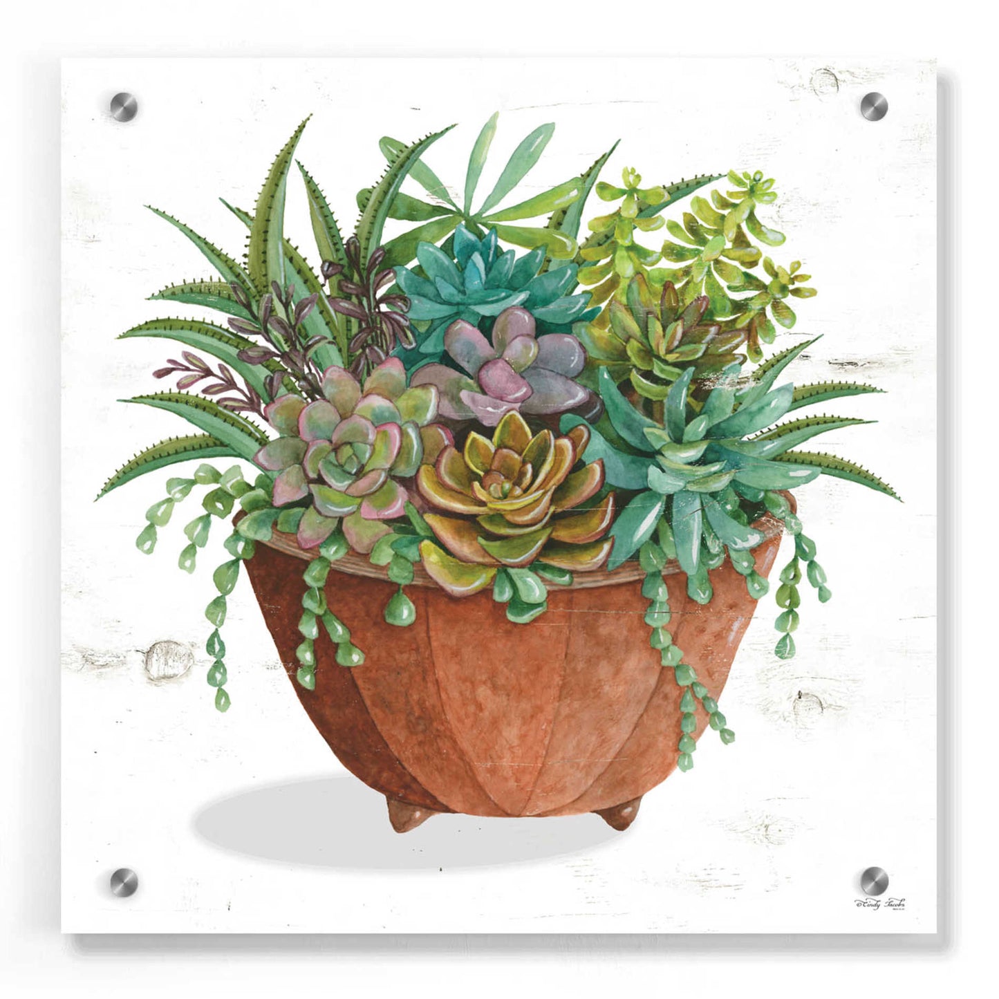 Epic Art 'Terracotta Succulents I' by Cindy Jacobs, Acrylic Glass Wall Art,36x36