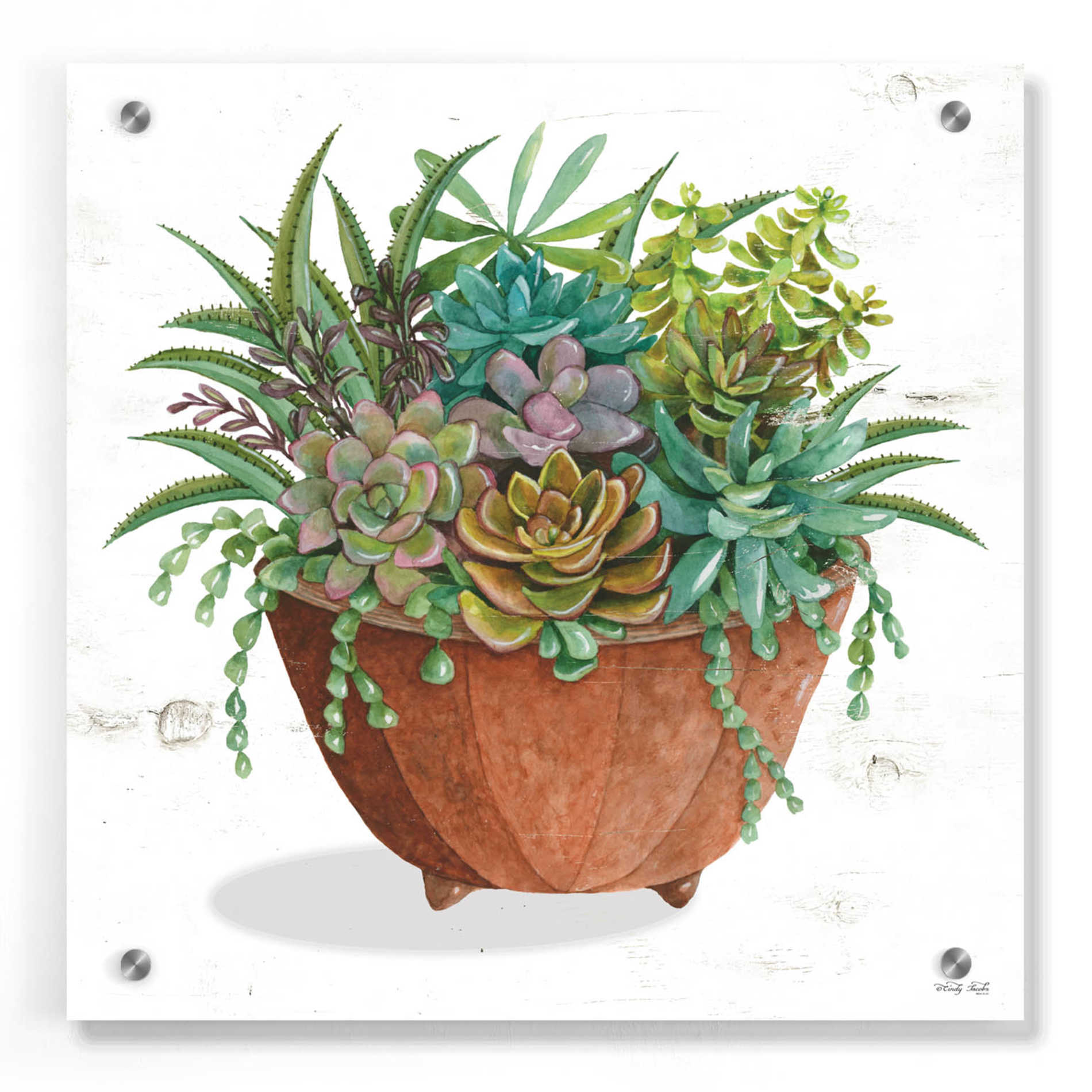 Epic Art 'Terracotta Succulents I' by Cindy Jacobs, Acrylic Glass Wall Art,36x36
