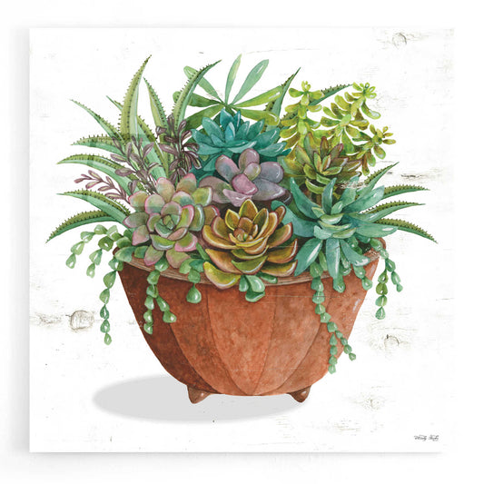 Epic Art 'Terracotta Succulents I' by Cindy Jacobs, Acrylic Glass Wall Art
