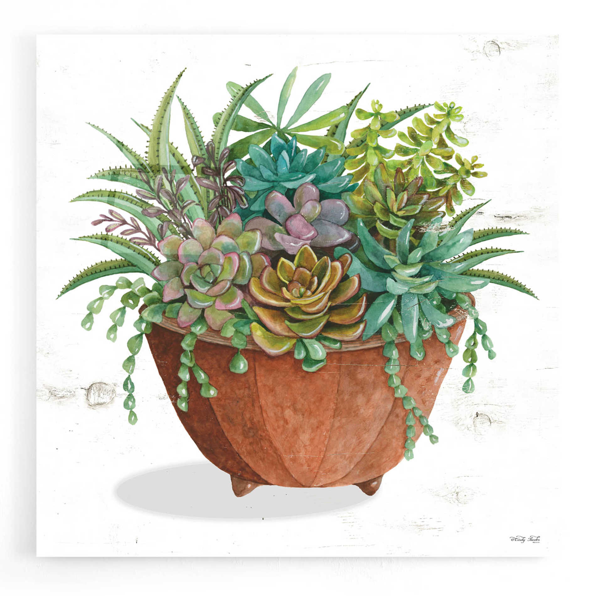 Epic Art 'Terracotta Succulents I' by Cindy Jacobs, Acrylic Glass Wall Art