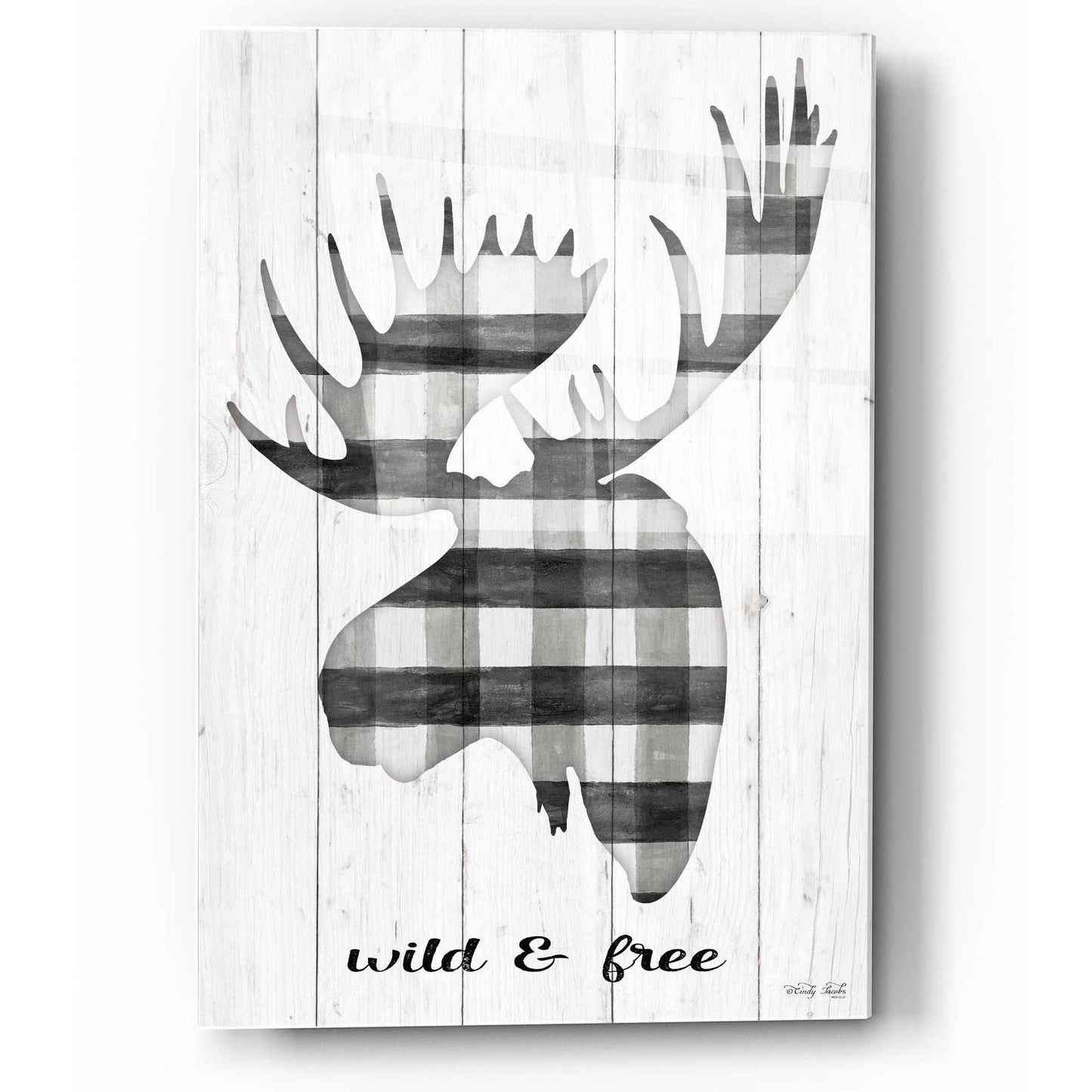 Epic Art 'Wild & Free' by Cindy Jacobs, Acrylic Glass Wall Art,12x16
