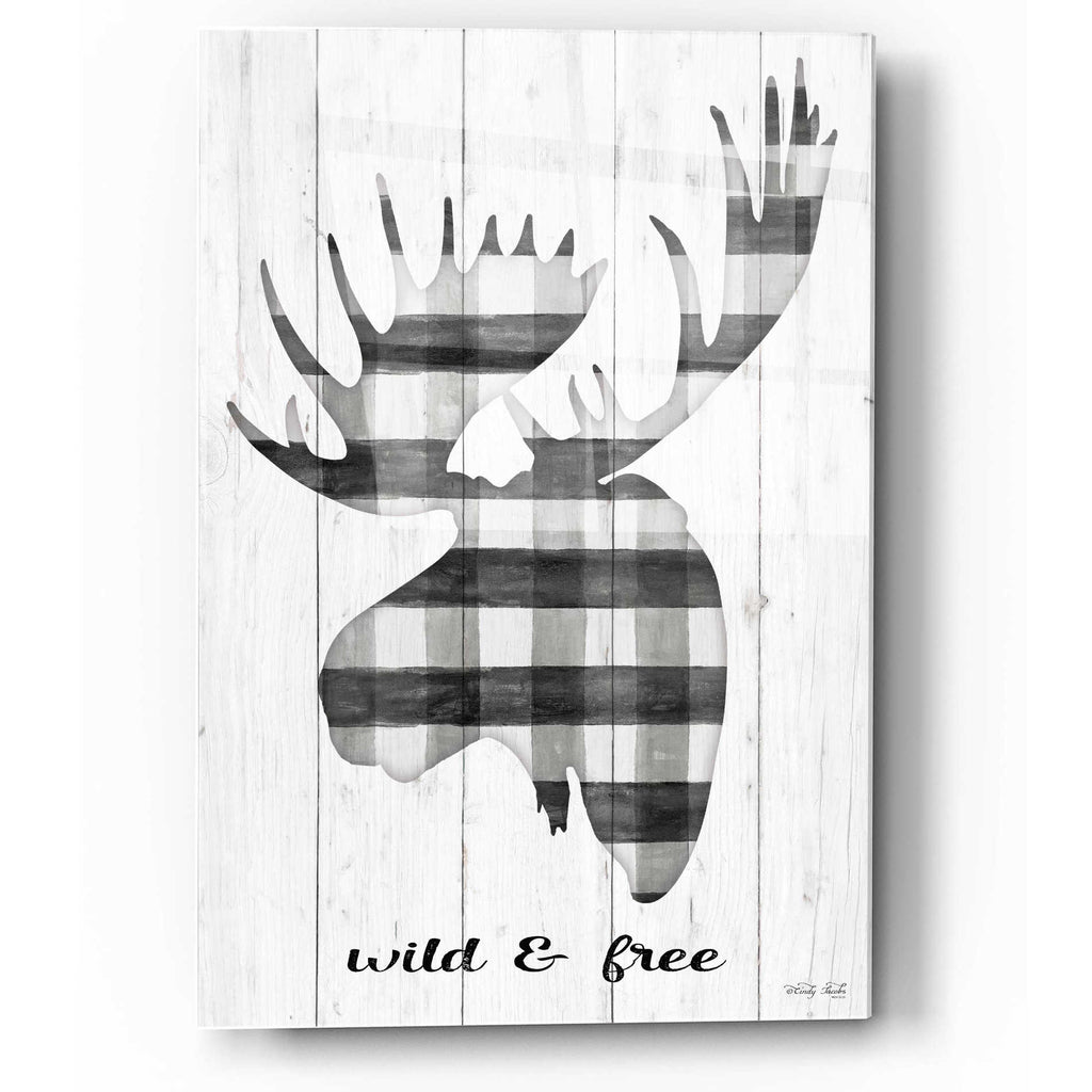 Epic Art 'Wild & Free' by Cindy Jacobs, Acrylic Glass Wall Art