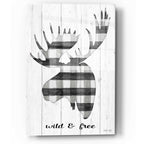 Epic Art 'Wild & Free' by Cindy Jacobs, Acrylic Glass Wall Art