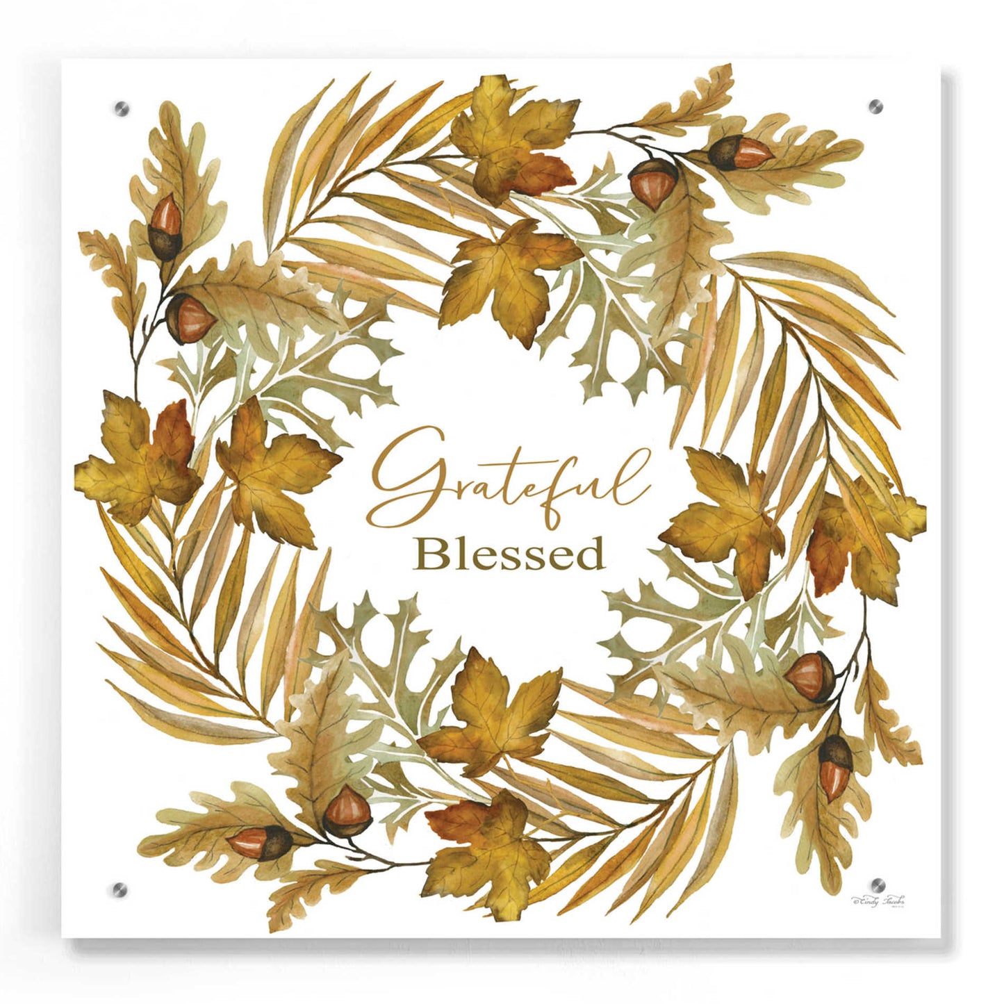 Epic Art 'Grateful Blessed Fall Wreath' by Cindy Jacobs, Acrylic Glass Wall Art,24x24