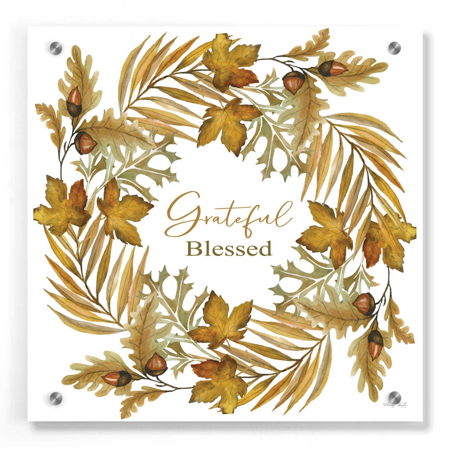 Epic Art 'Grateful Blessed Fall Wreath' by Cindy Jacobs, Acrylic Glass Wall Art,36x36