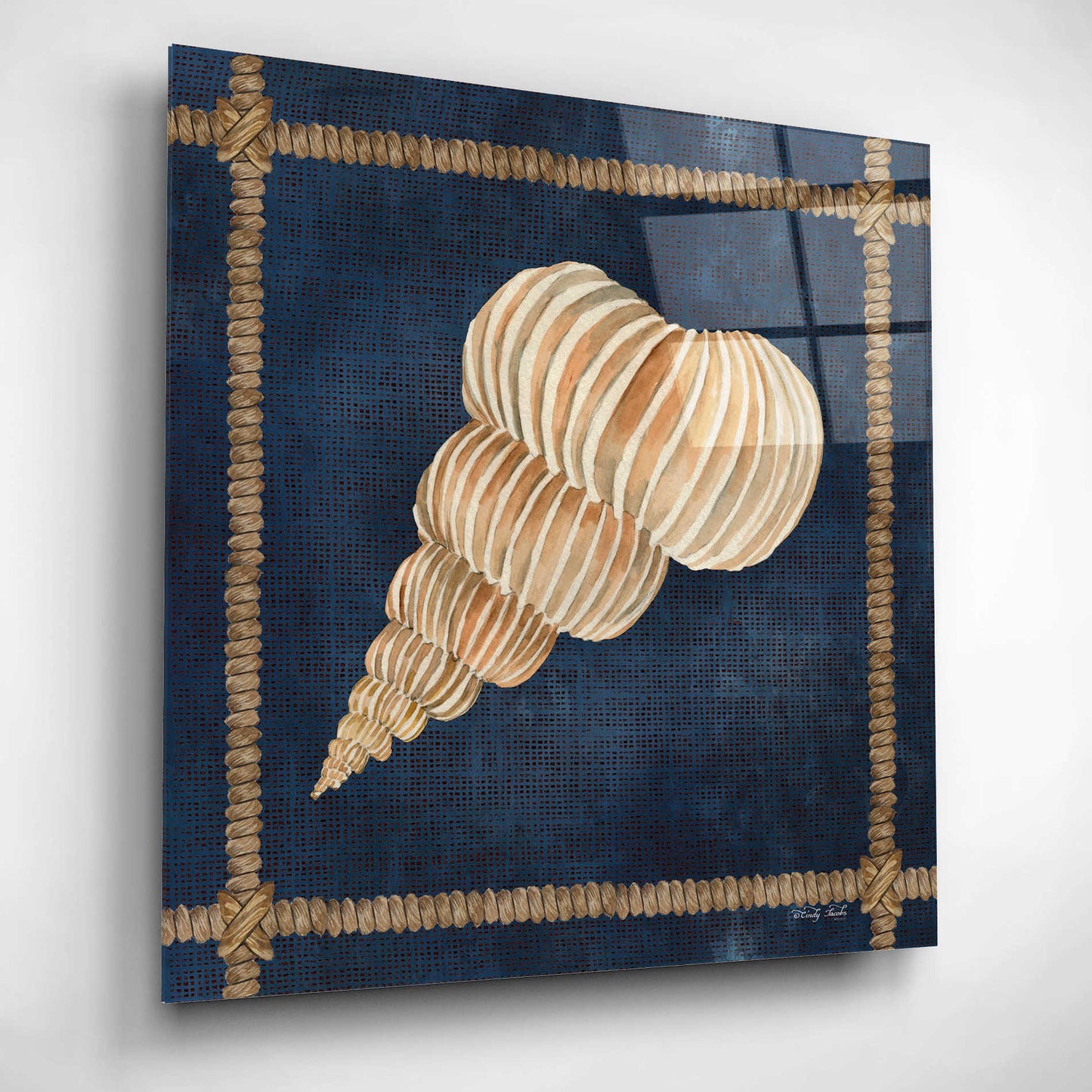 Epic Art 'Seashell on Navy III' by Cindy Jacobs, Acrylic Glass Wall Art,12x12