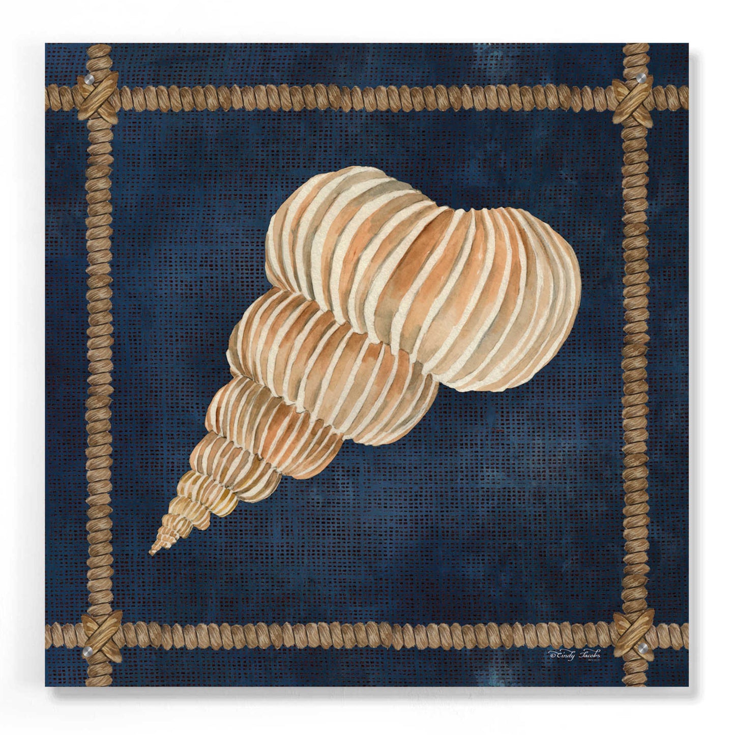 Epic Art 'Seashell on Navy III' by Cindy Jacobs, Acrylic Glass Wall Art,24x24