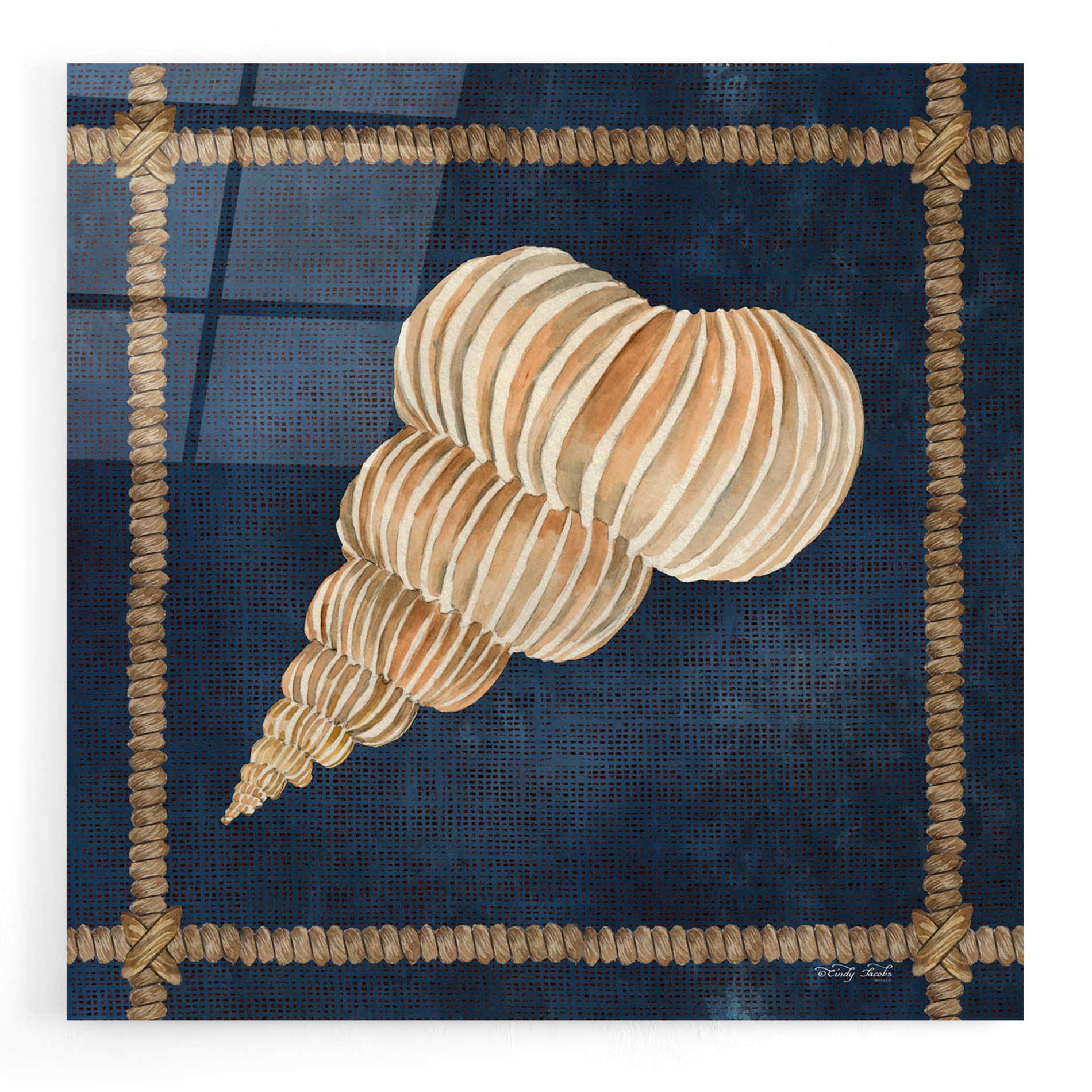 Epic Art 'Seashell on Navy III' by Cindy Jacobs, Acrylic Glass Wall Art