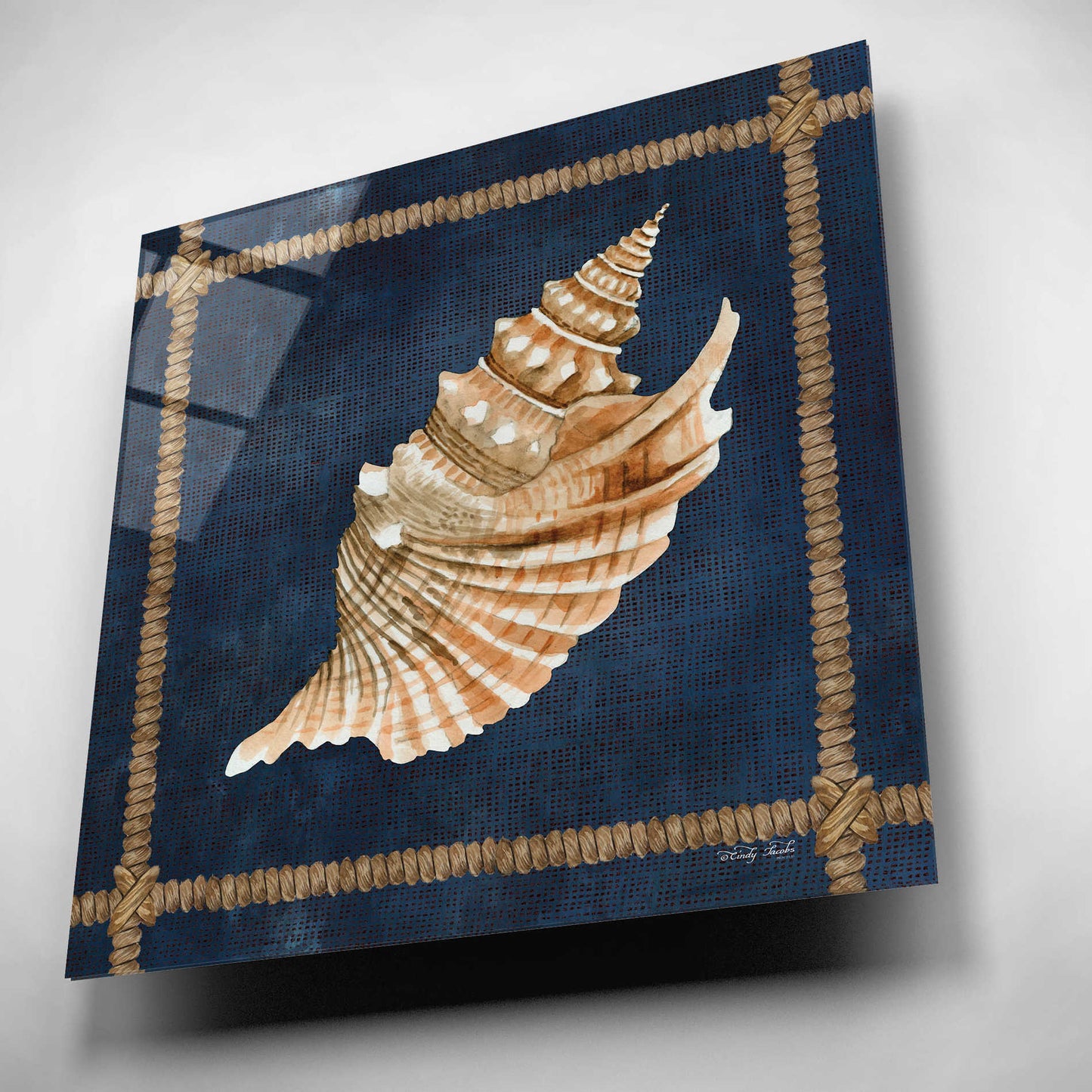 Epic Art 'Seashell on Navy V' by Cindy Jacobs, Acrylic Glass Wall Art,12x12
