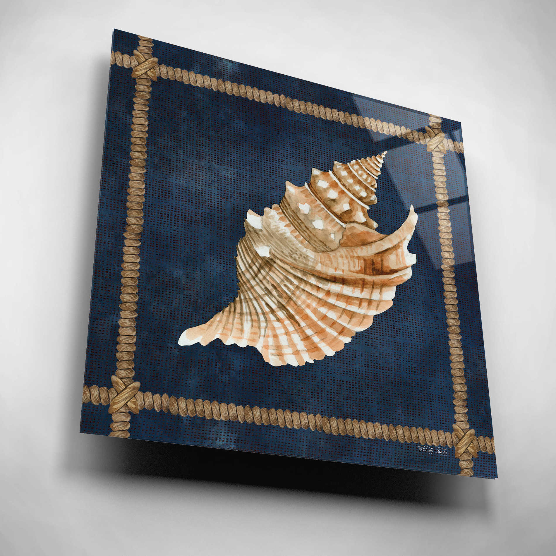 Epic Art 'Seashell on Navy V' by Cindy Jacobs, Acrylic Glass Wall Art,12x12
