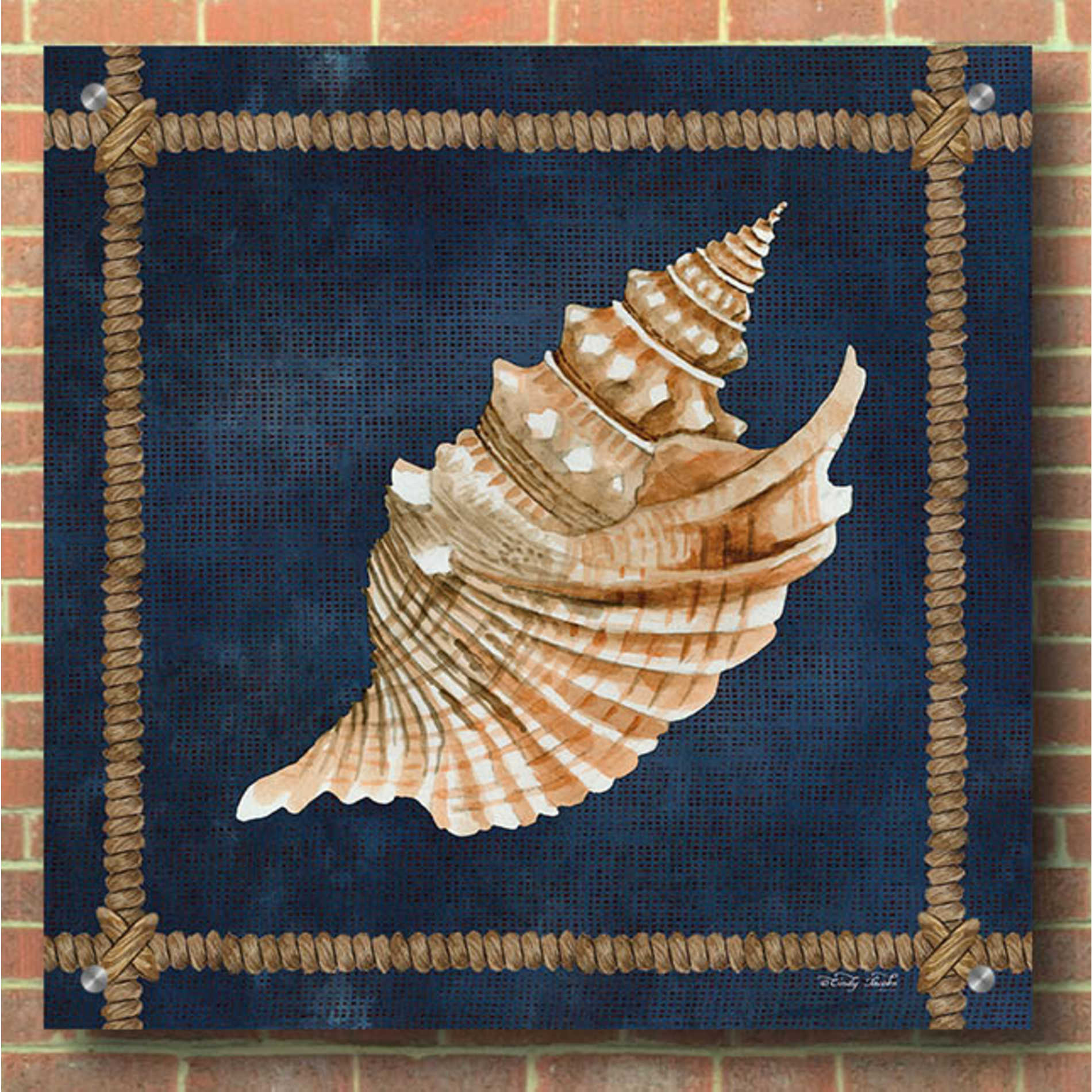 Epic Art 'Seashell on Navy V' by Cindy Jacobs, Acrylic Glass Wall Art,36x36