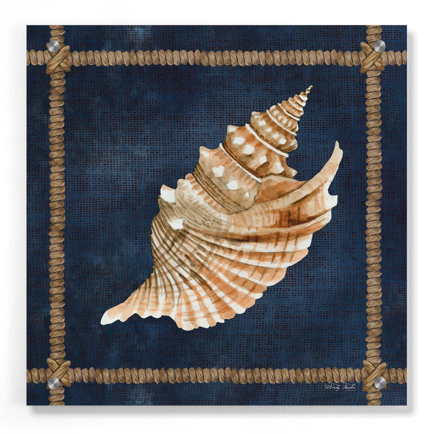 Epic Art 'Seashell on Navy V' by Cindy Jacobs, Acrylic Glass Wall Art,36x36