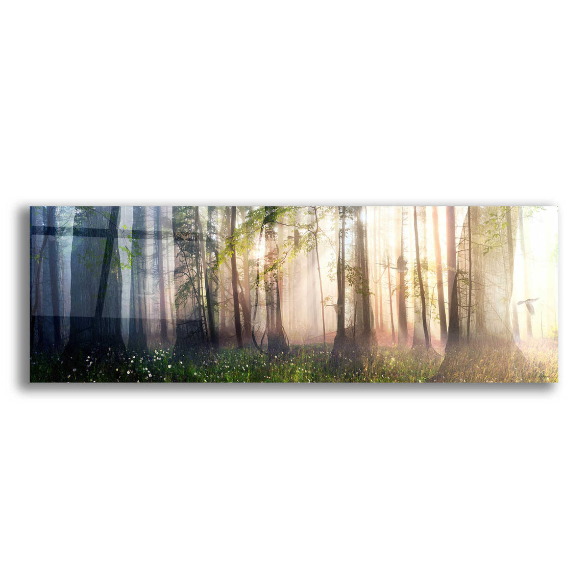 Epic Art 'Constancy' by Cynthia Decker, Acrylic Glass Wall Art,48x16