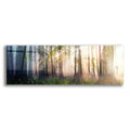 Epic Art 'Constancy' by Cynthia Decker, Acrylic Glass Wall Art,36x12