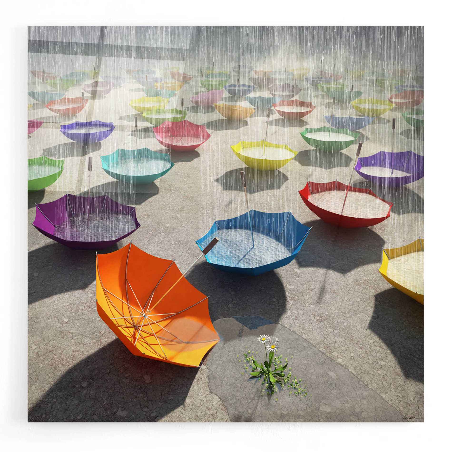 Epic Art 'Downpour' by Cynthia Decker, Acrylic Glass Wall Art,12x12