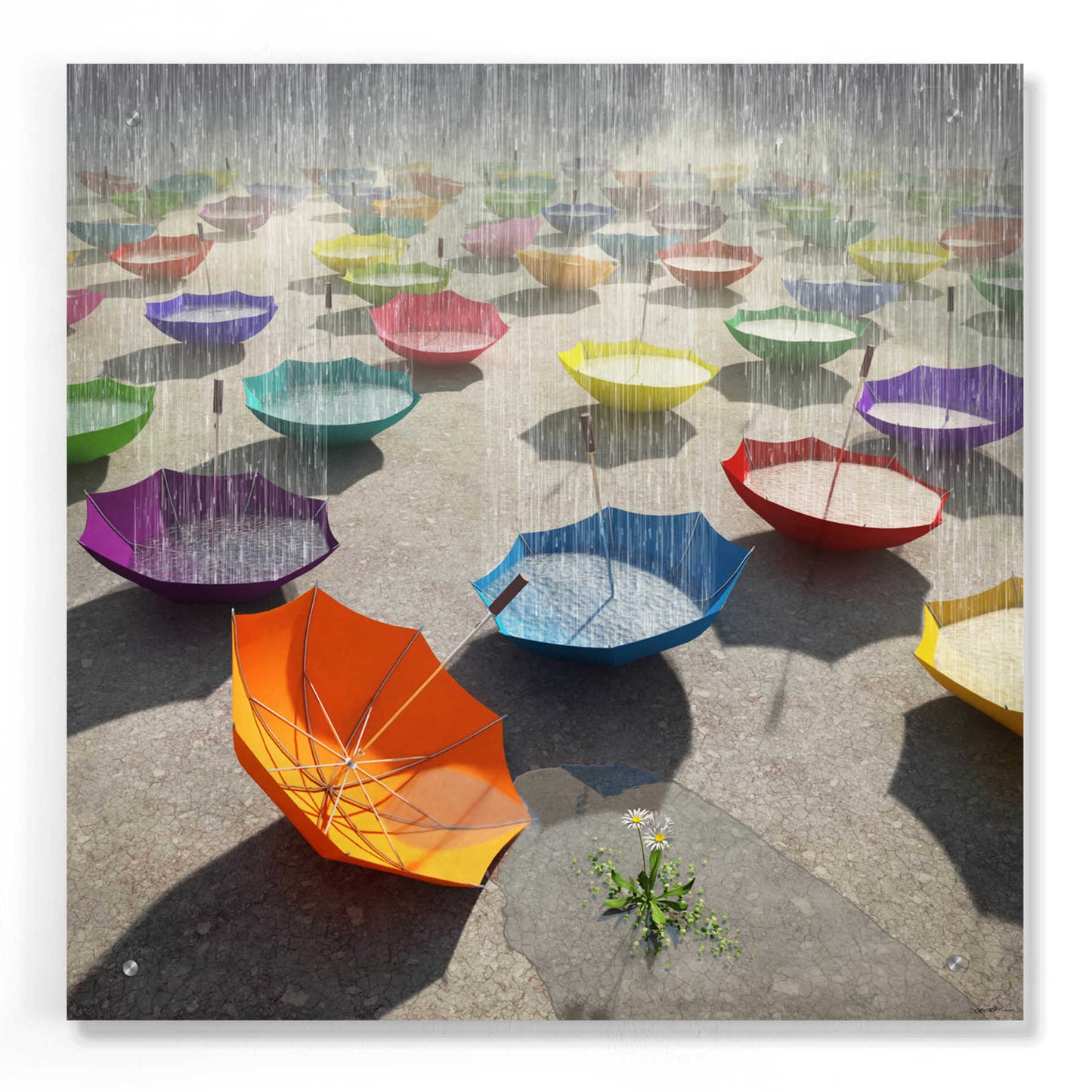 Epic Art 'Downpour' by Cynthia Decker, Acrylic Glass Wall Art,24x24