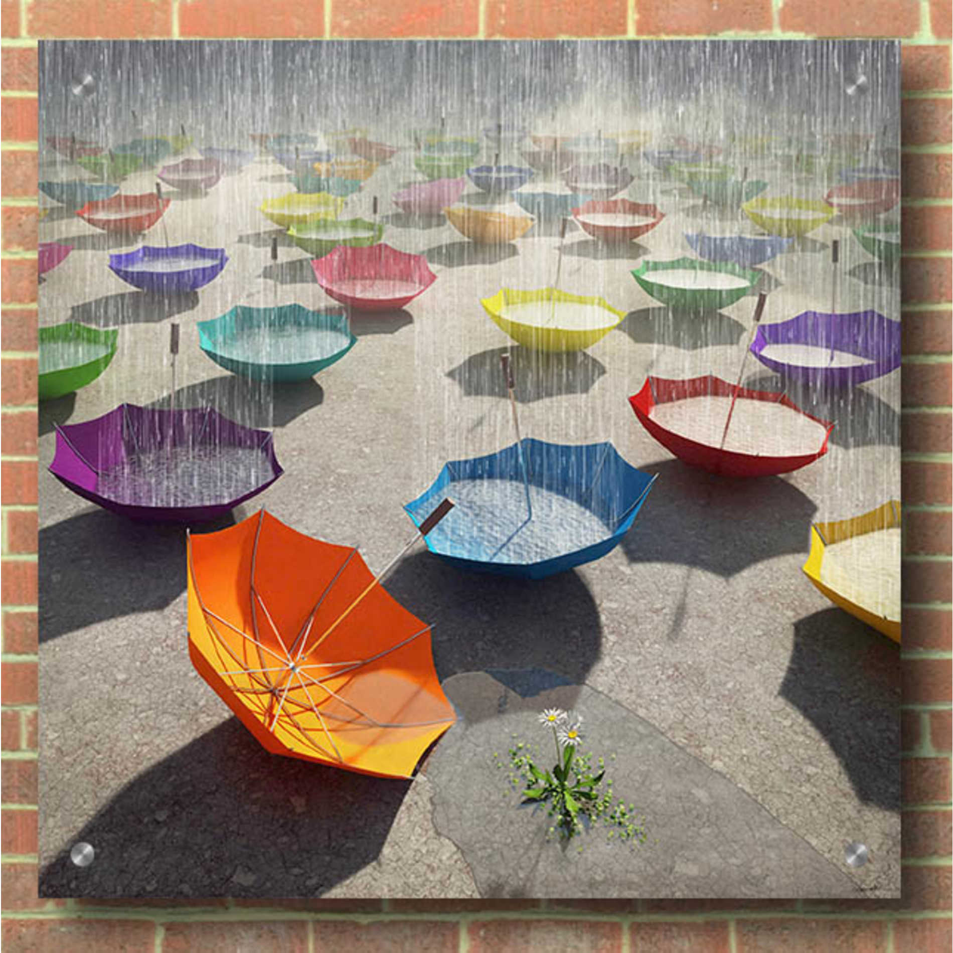 Epic Art 'Downpour' by Cynthia Decker, Acrylic Glass Wall Art,36x36
