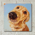 Epic Art 'Follow Your Nose 4' by Lucia Heffernan, Acrylic Glass Wall Art,12x12