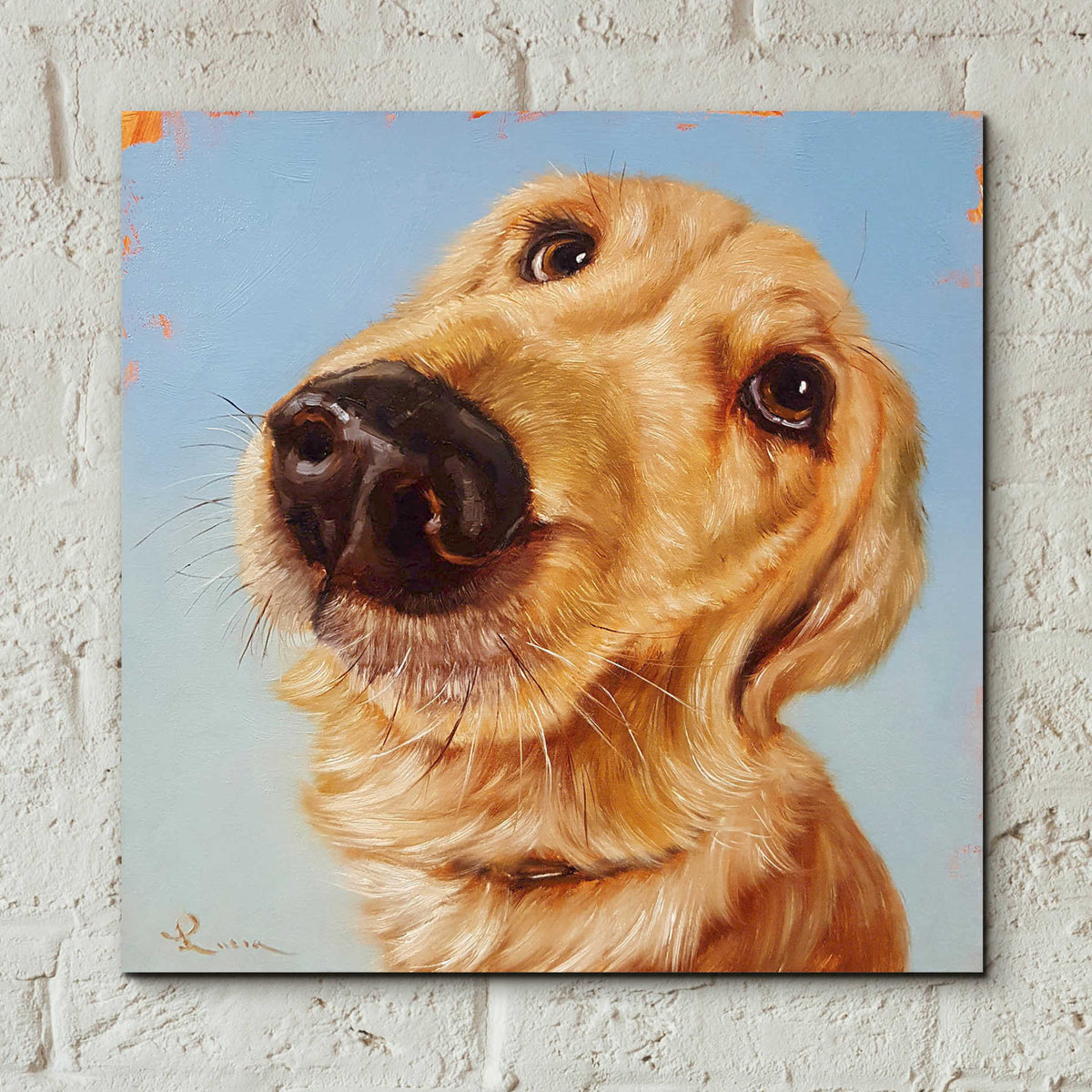 Epic Art 'Follow Your Nose 4' by Lucia Heffernan, Acrylic Glass Wall Art,12x12