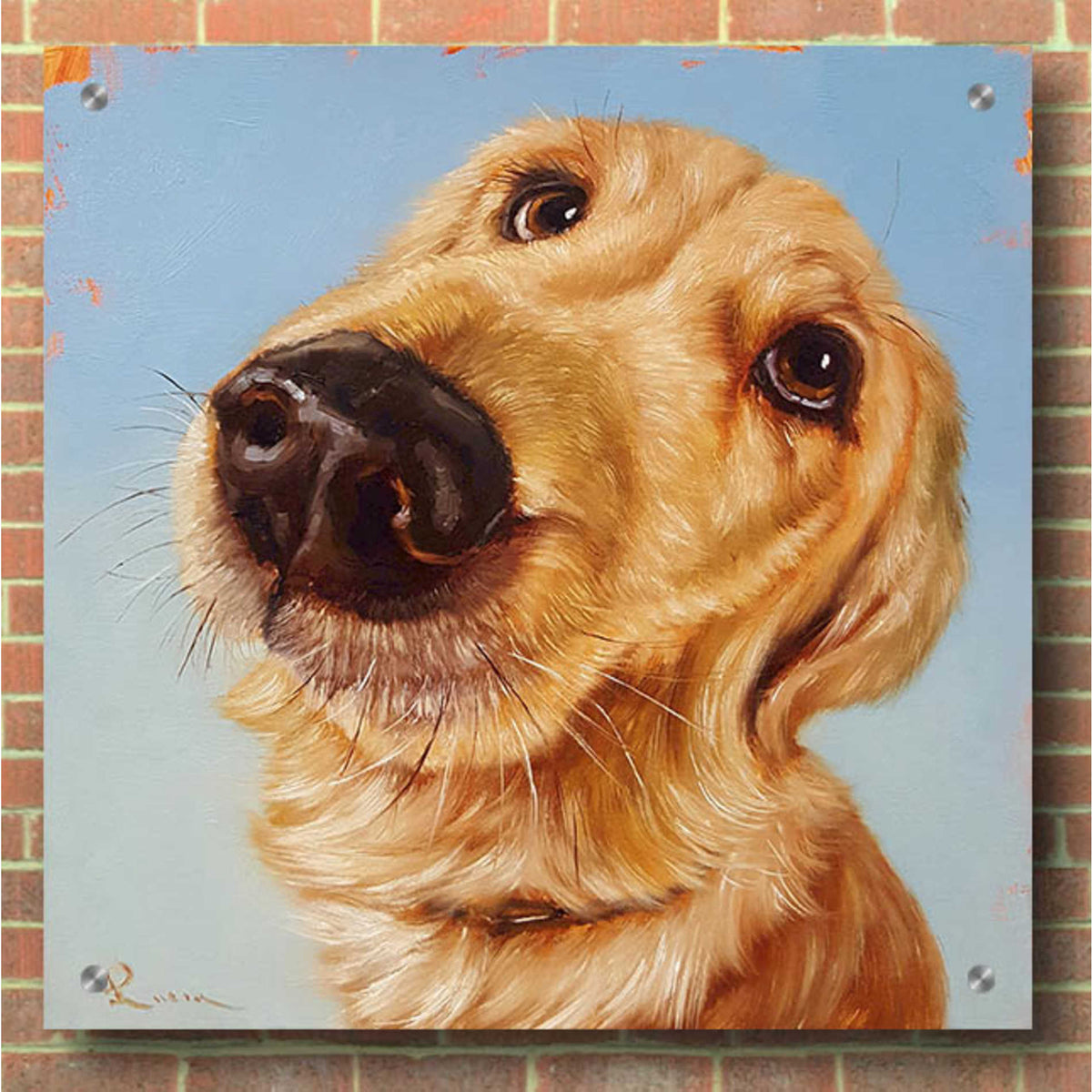 Epic Art 'Follow Your Nose 4' by Lucia Heffernan, Acrylic Glass Wall Art,36x36
