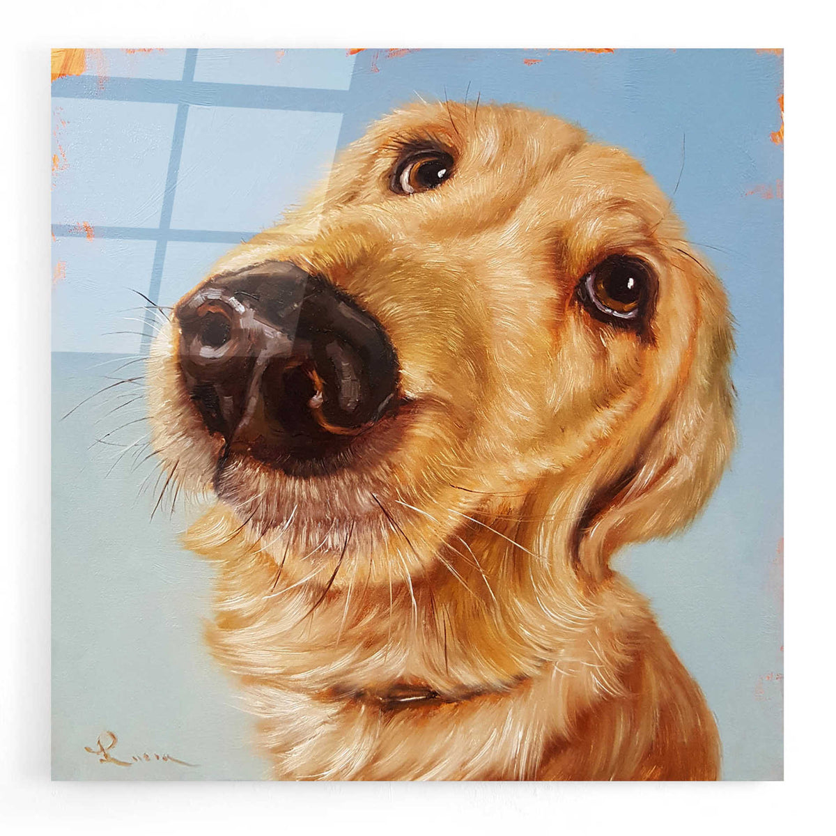Epic Art 'Follow Your Nose 4' by Lucia Heffernan, Acrylic Glass Wall Art