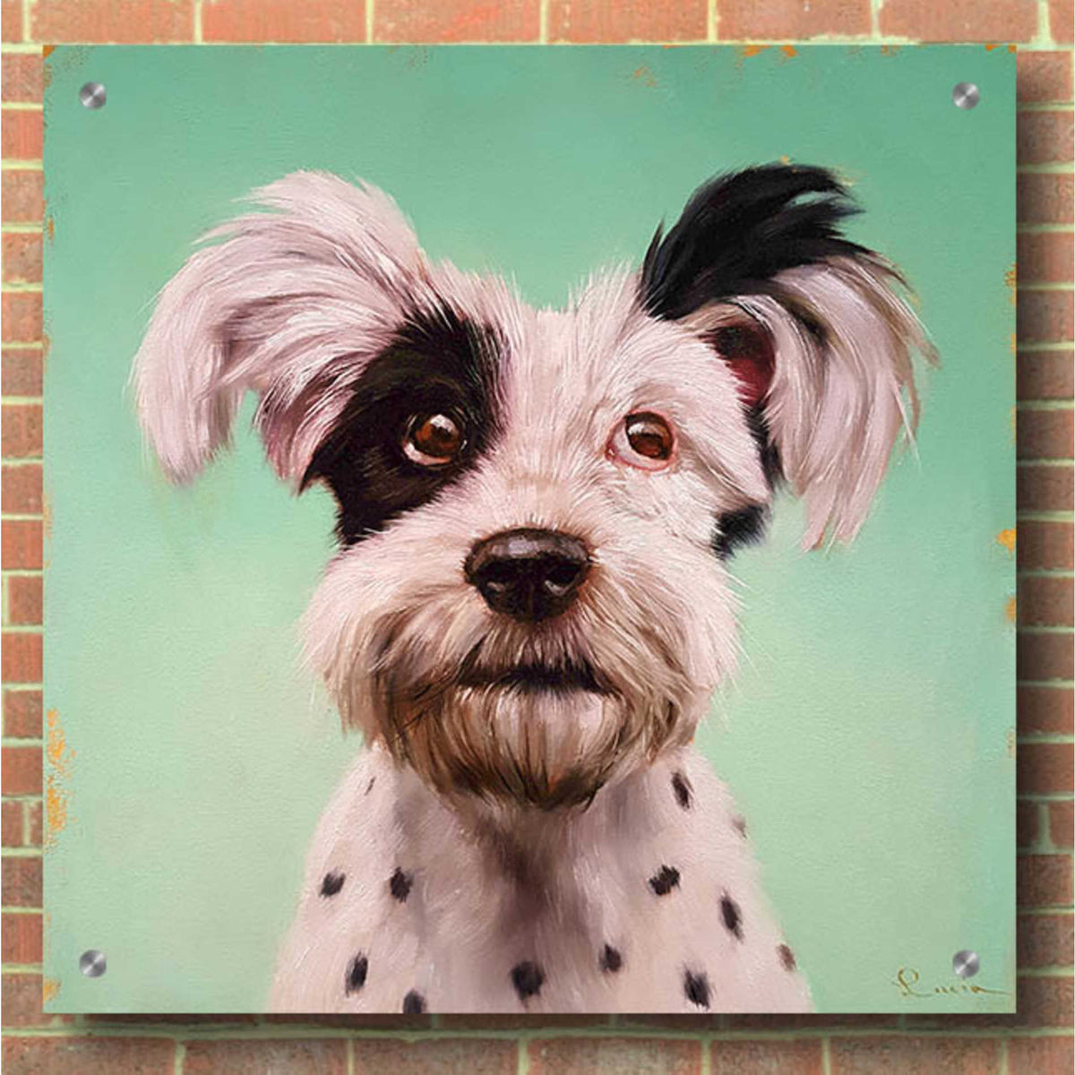 Epic Art 'Follow Your Nose 8' by Lucia Heffernan, Acrylic Glass Wall Art,36x36