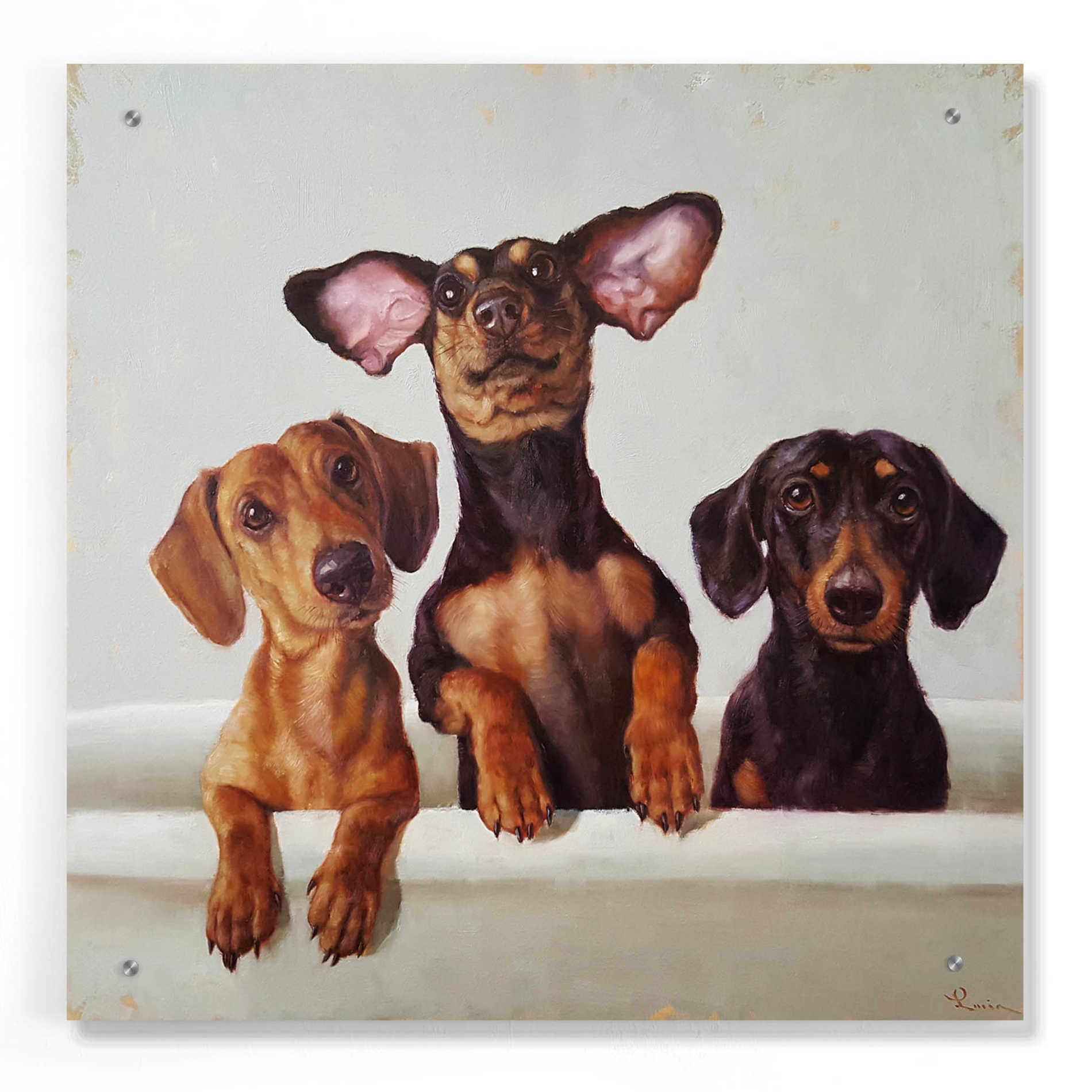 Epic Art '3 Amigos' by Lucia Heffernan, Acrylic Glass Wall Art,24x24