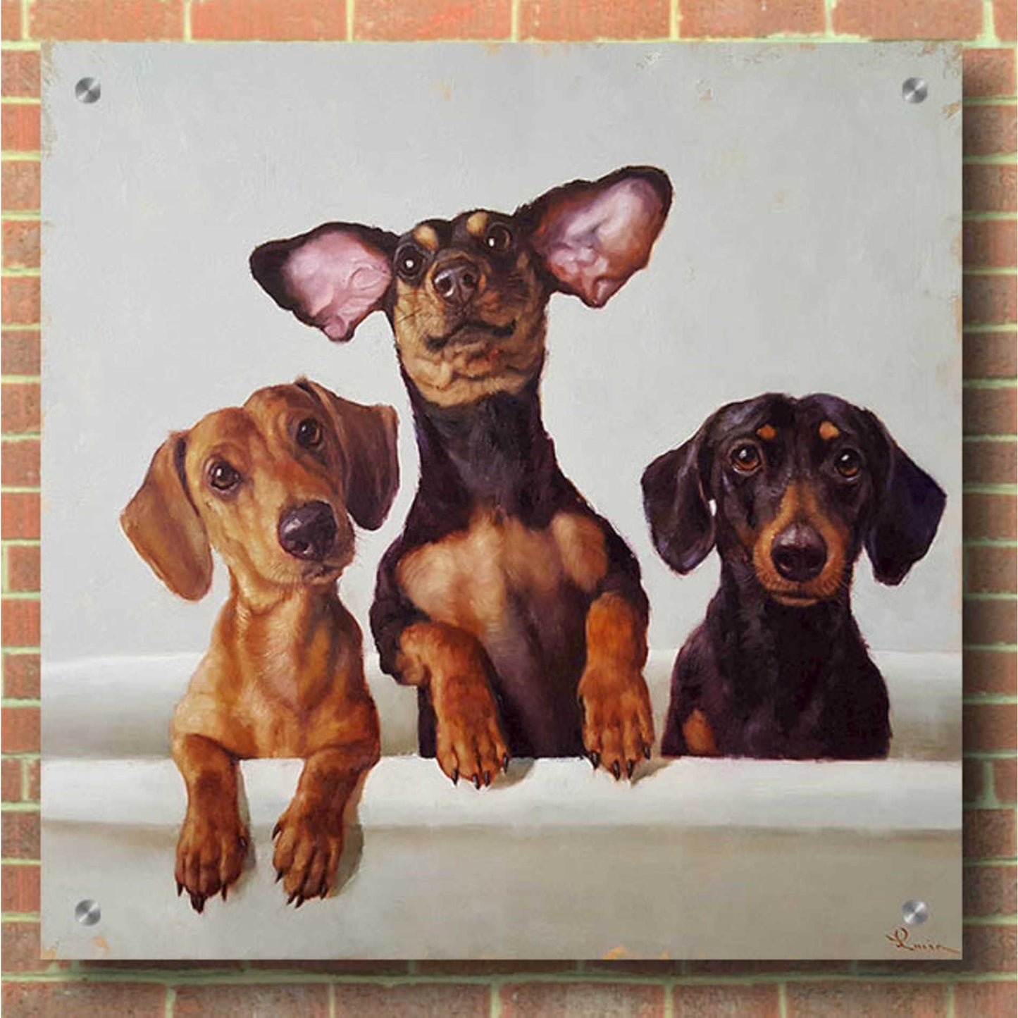 Epic Art '3 Amigos' by Lucia Heffernan, Acrylic Glass Wall Art,36x36