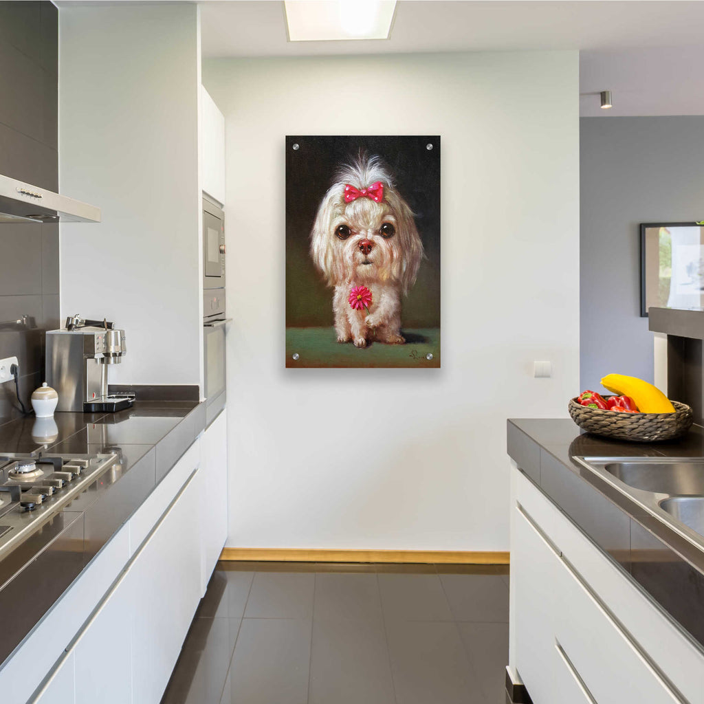 Epic Art 'Sophie' by Lucia Heffernan, Acrylic Glass Wall Art,24x36