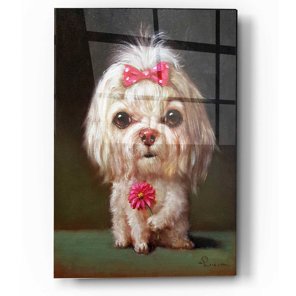 Epic Art 'Sophie' by Lucia Heffernan, Acrylic Glass Wall Art