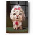 Epic Art 'Sophie' by Lucia Heffernan, Acrylic Glass Wall Art
