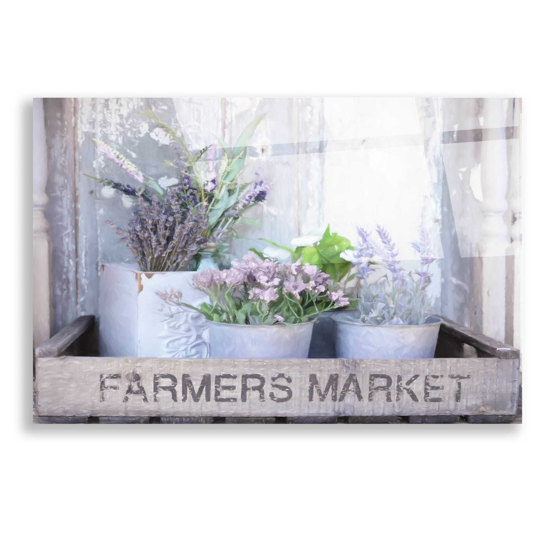 Epic Art 'Farmer's Lavender' by Lori Deiter, Acrylic Glass Wall Art,16x12