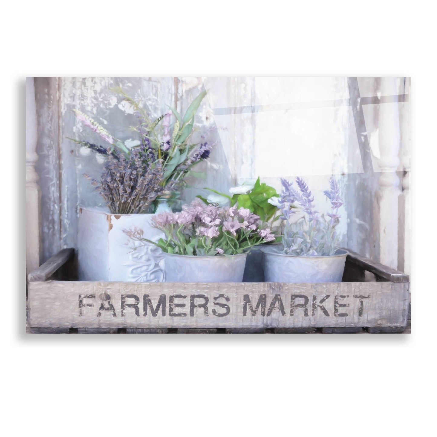 Epic Art 'Farmer's Lavender' by Lori Deiter, Acrylic Glass Wall Art,24x16