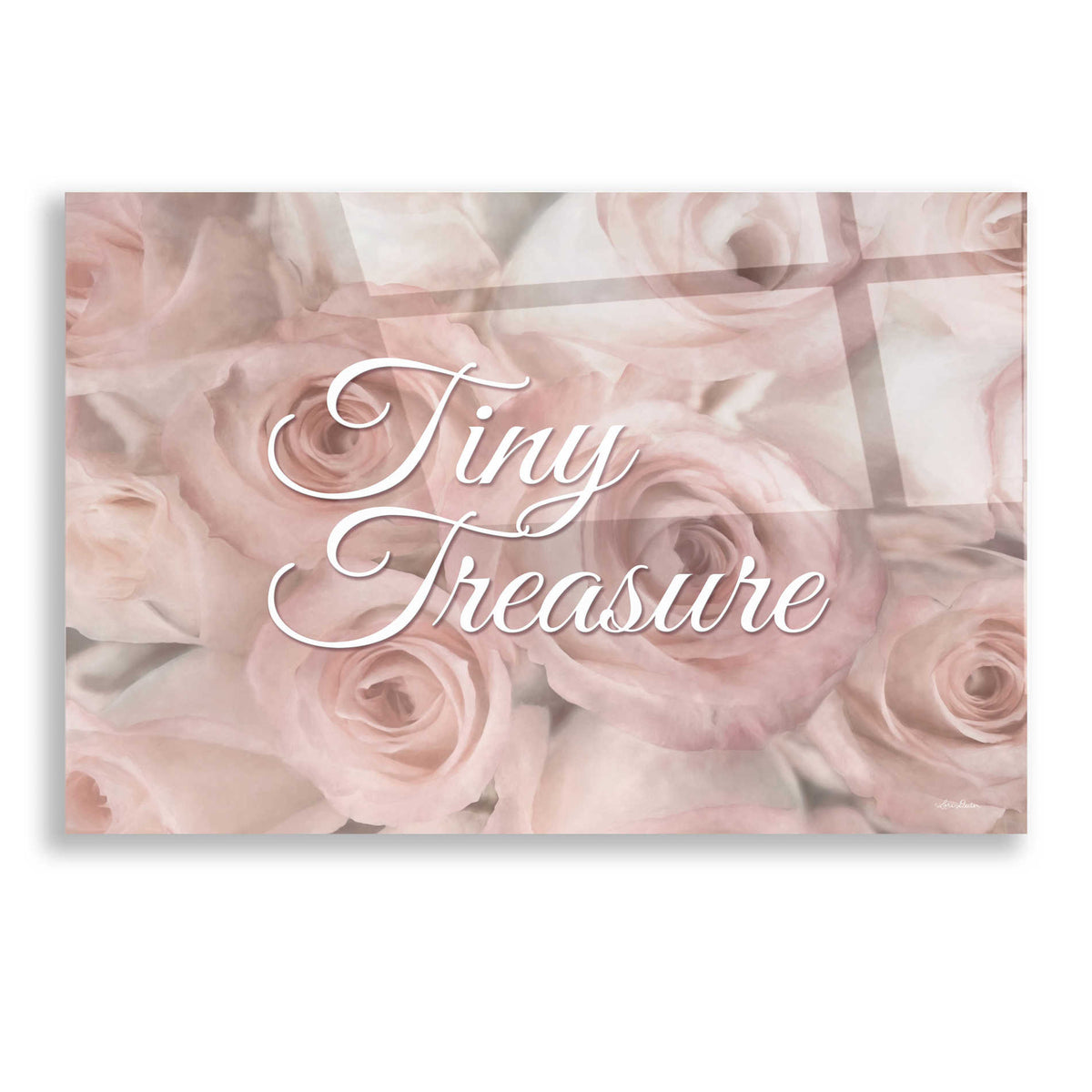 Epic Art 'Tiny Treasure' by Lori Deiter, Acrylic Glass Wall Art