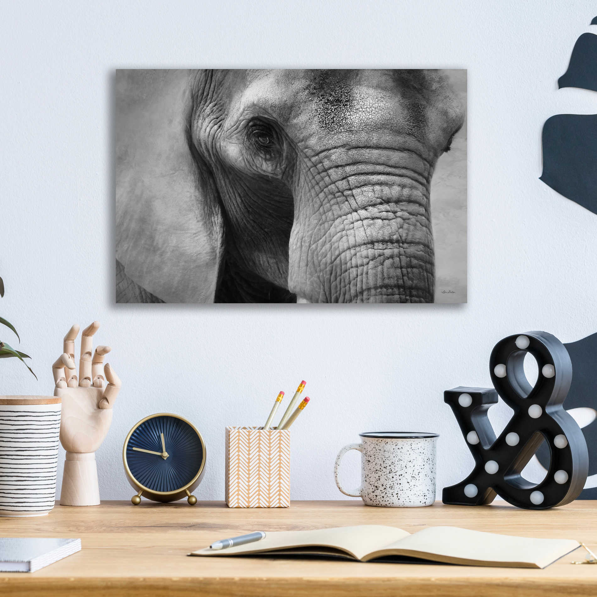 Epic Art 'Elephant' by Lori Deiter, Acrylic Glass Wall Art,16x12
