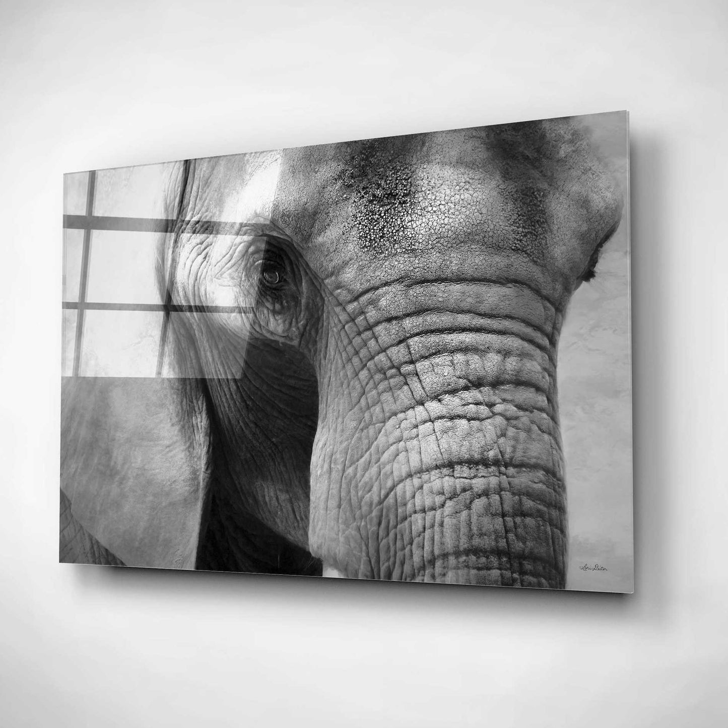 Epic Art 'Elephant' by Lori Deiter, Acrylic Glass Wall Art,24x16