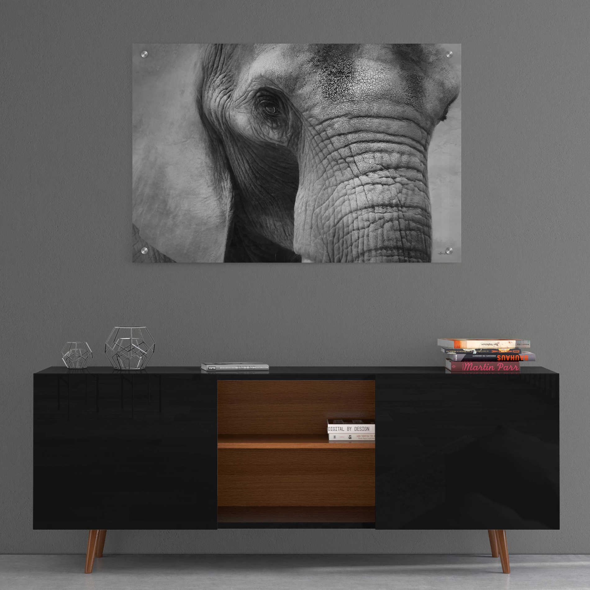 Epic Art 'Elephant' by Lori Deiter, Acrylic Glass Wall Art,36x24