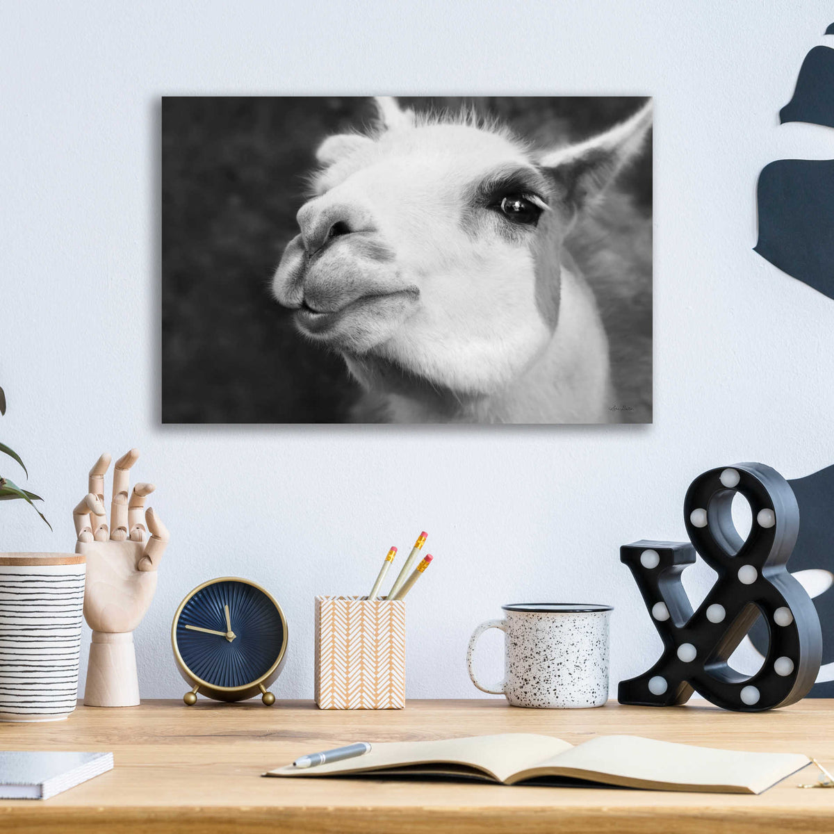 Epic Art 'Lake Tobias Alpaca' by Lori Deiter, Acrylic Glass Wall Art,16x12