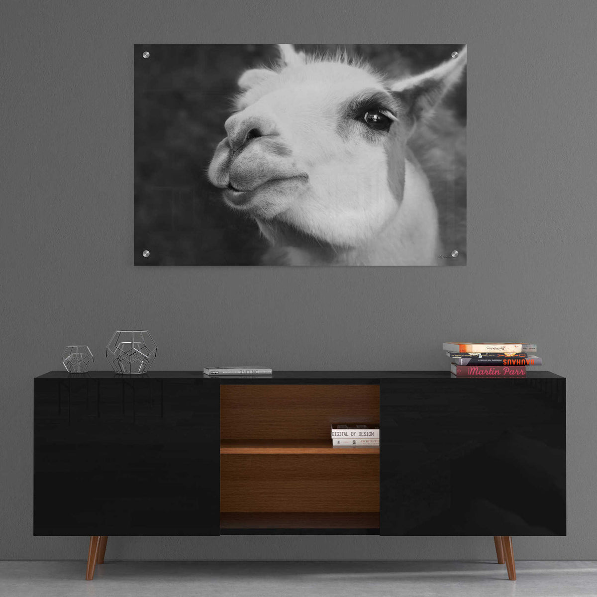 Epic Art 'Lake Tobias Alpaca' by Lori Deiter, Acrylic Glass Wall Art,36x24
