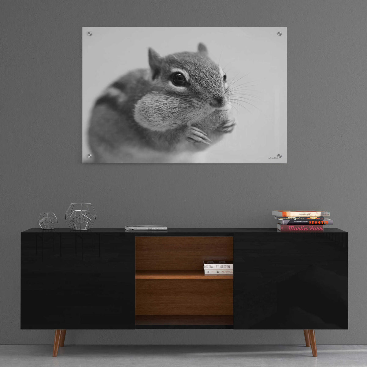 Epic Art 'Chippy' by Lori Deiter, Acrylic Glass Wall Art,36x24
