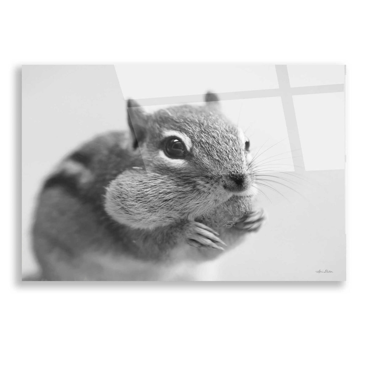 Epic Art 'Chippy' by Lori Deiter, Acrylic Glass Wall Art