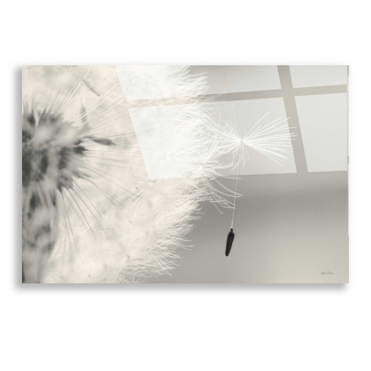 Epic Art 'It Only Takes One' by Lori Deiter, Acrylic Glass Wall Art