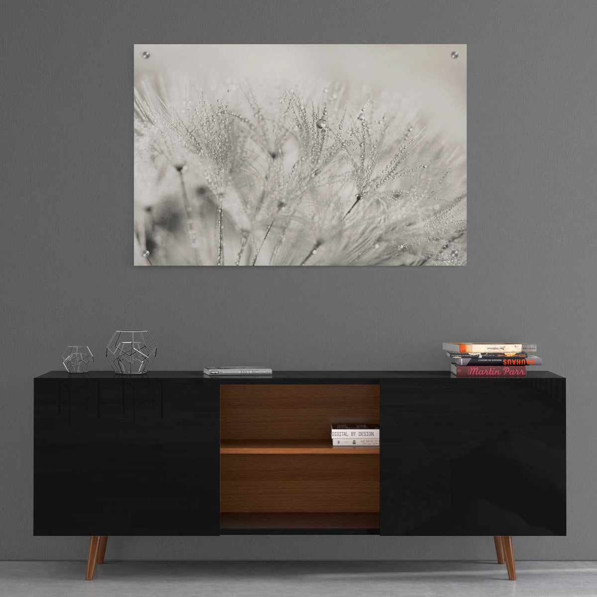 Epic Art 'Dandelion Jewels II' by Lori Deiter, Acrylic Glass Wall Art,36x24