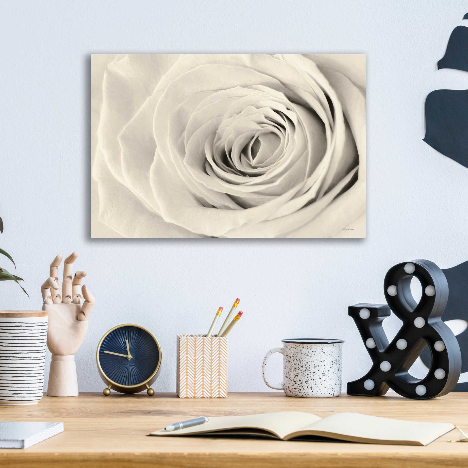 Epic Art 'Cream Rose' by Lori Deiter, Acrylic Glass Wall Art,16x12