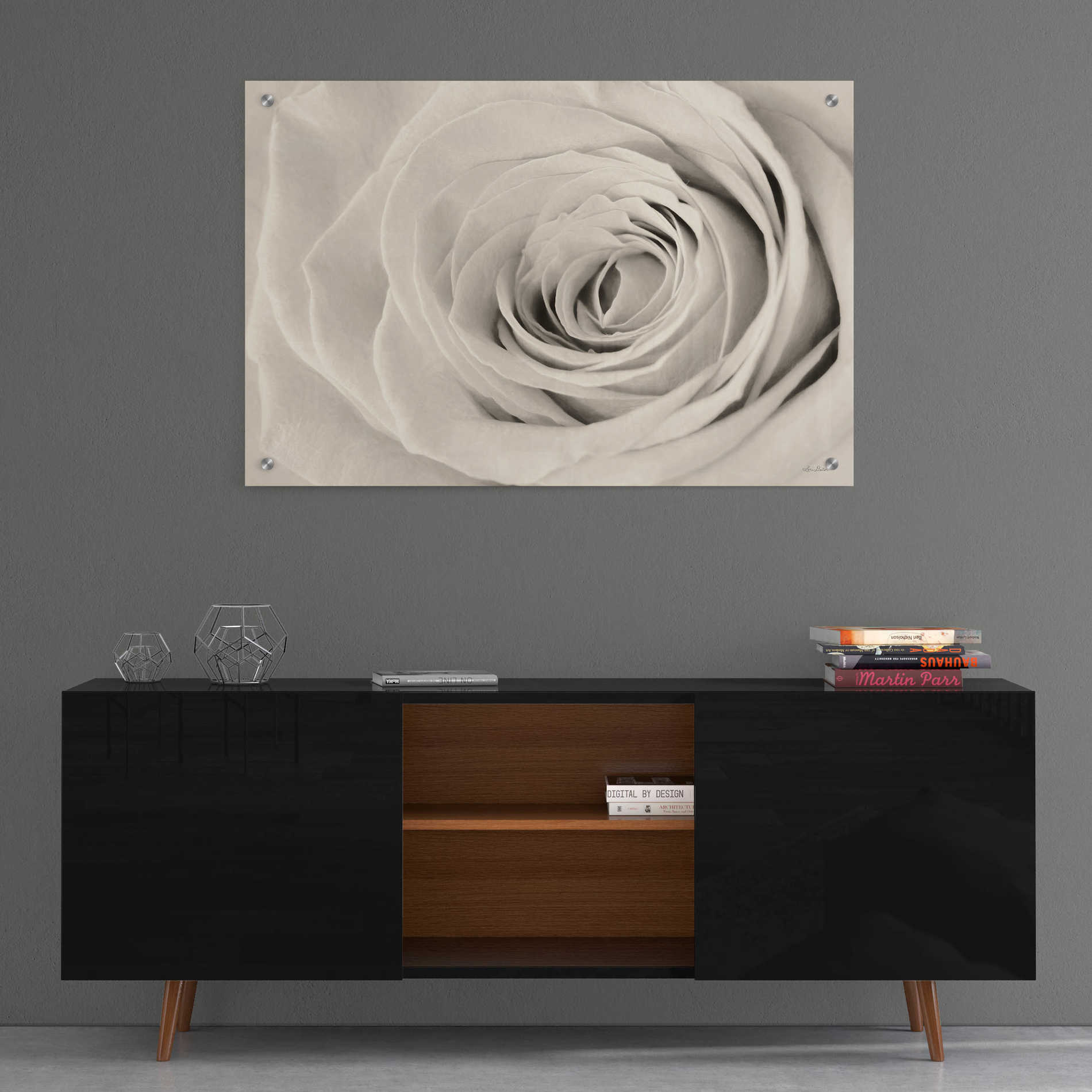 Epic Art 'Cream Rose' by Lori Deiter, Acrylic Glass Wall Art,36x24