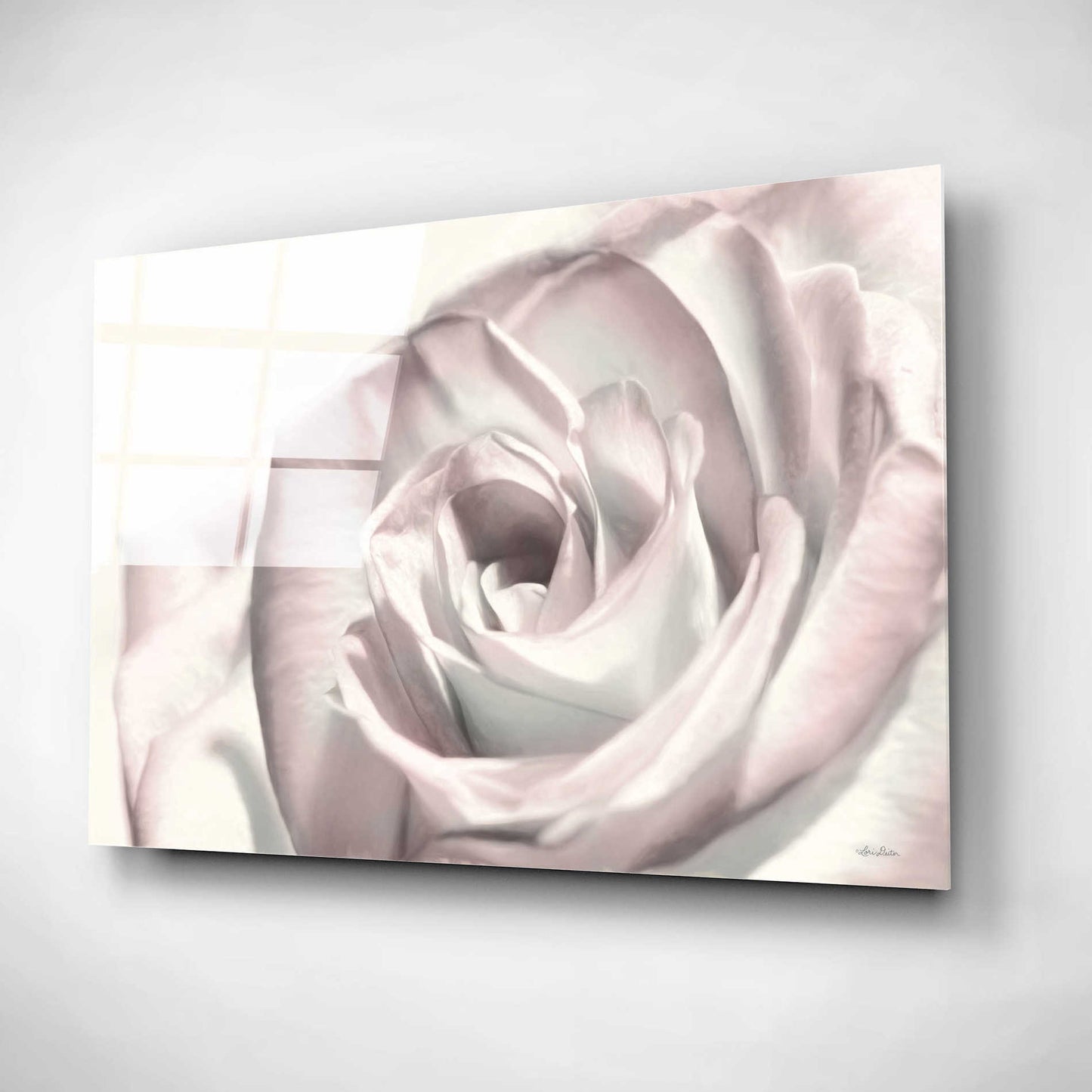 Epic Art 'Blush Rose I' by Lori Deiter, Acrylic Glass Wall Art,16x12
