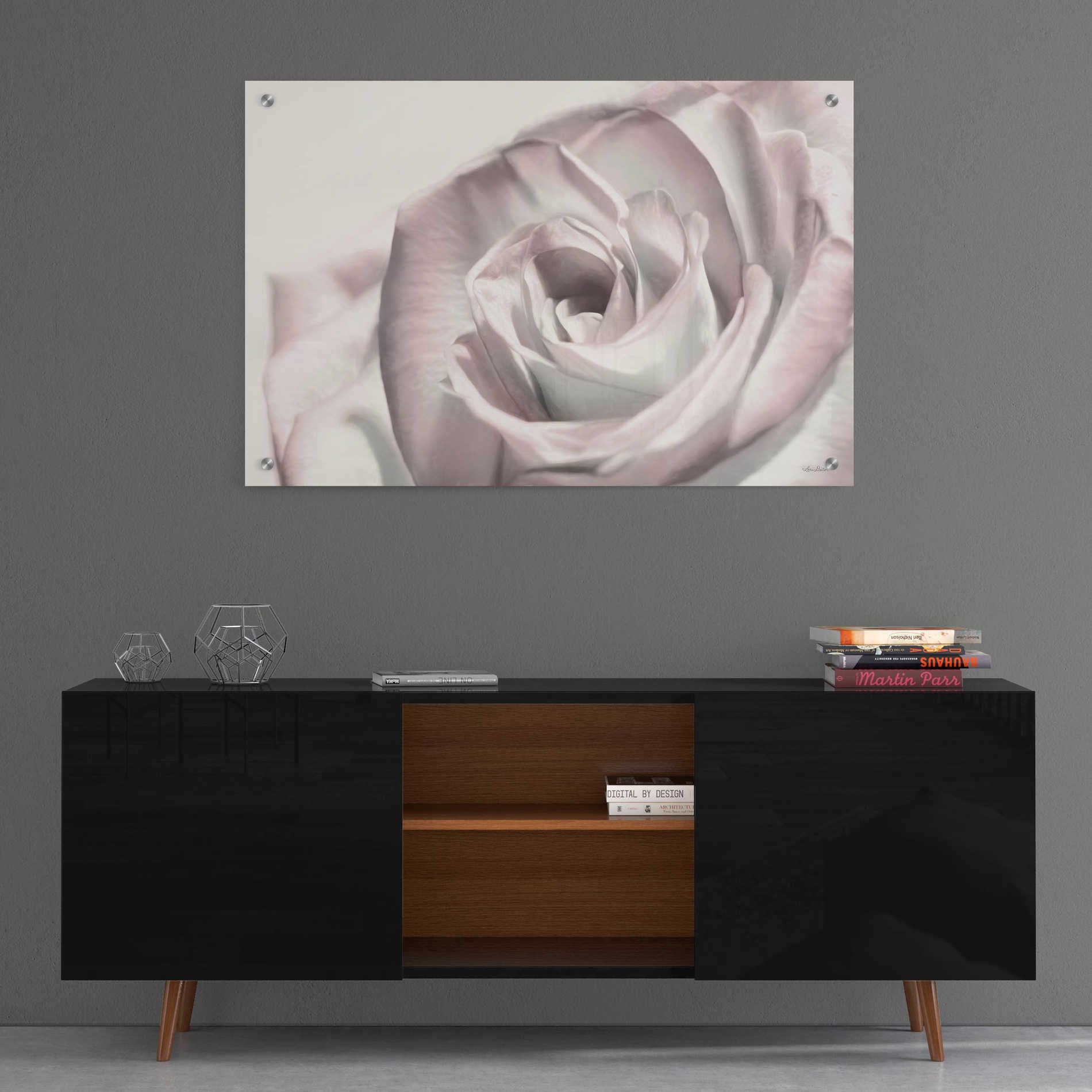 Epic Art 'Blush Rose I' by Lori Deiter, Acrylic Glass Wall Art,36x24