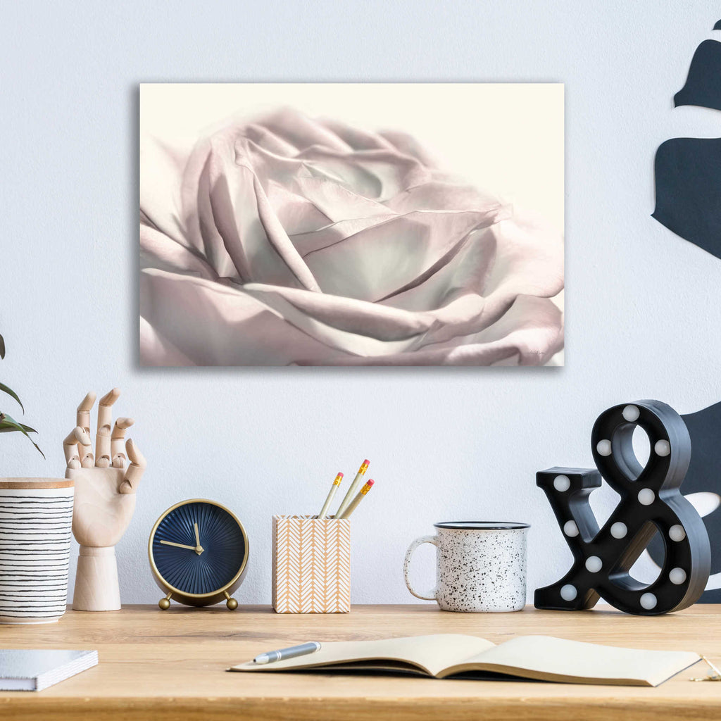 Epic Art 'Blush Rose II' by Lori Deiter, Acrylic Glass Wall Art,16x12