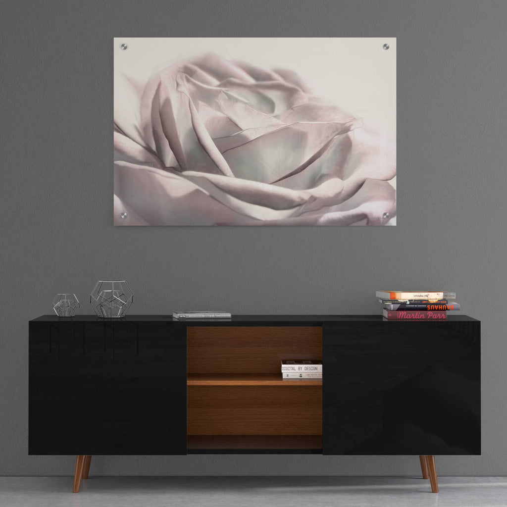 Epic Art 'Blush Rose II' by Lori Deiter, Acrylic Glass Wall Art,36x24
